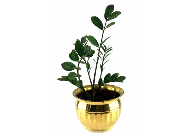 Фото 1 - Flowerpot Golden Luxury (18x25.5 cm)