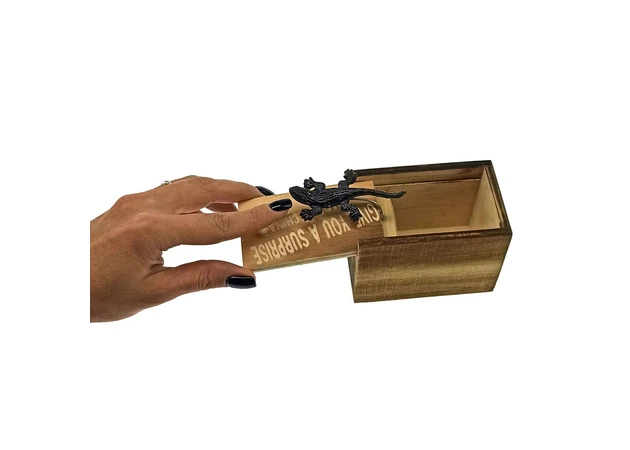 Фото 1 - Salamander in a box (9.5x6x6.5 cm)