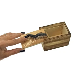 Scolopendra in a box (9.5x6x6.5 cm)