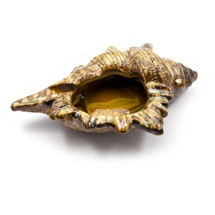 Попільничка Ракушка (16,5х11х5,5 см) (5B255)