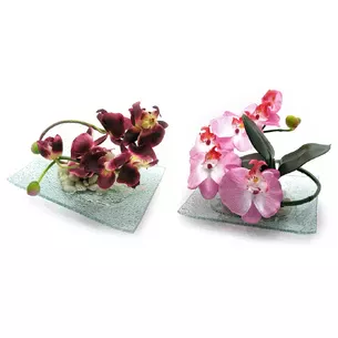 Orchid flower on a glass stand (20x15 cm)