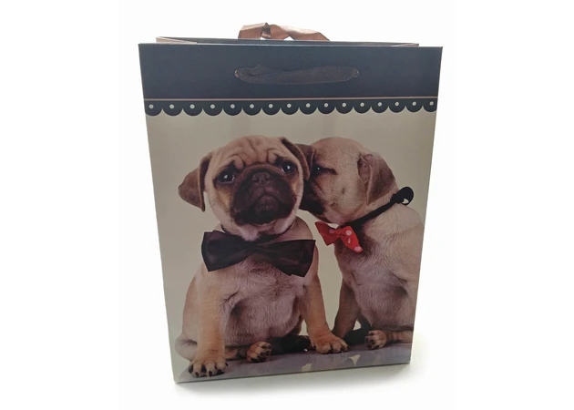 Фото 1 - Paper gift bag Cats and Dogs (18x23x8 cm)