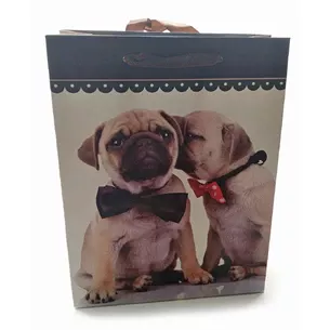 Paper gift bag Cats and Dogs (18x23x8 cm)