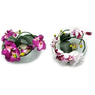 Orchid flower on a glass stand (d-26 cm)