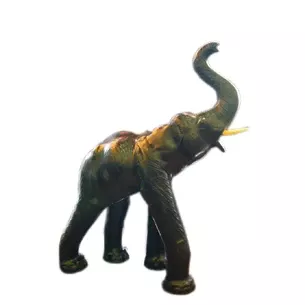 Elephant skin (36)