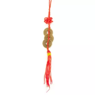 Coins (3 pcs) (2.5 cm) dark (100 pcs/pack)