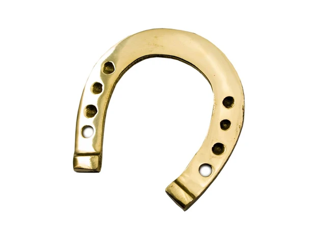 Фото 1 - Horseshoe bronze (7x6.5 cm)