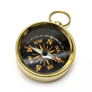 Bronze compass (d-3.5, h-1.5 cm)