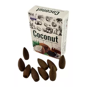 Coconut BackFlow Cones (Кокос) (Darshan) конуси зі зворотним потоком