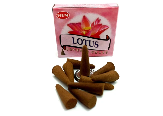 Фото 1 - Lotus (Hem) cones