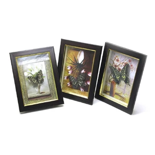 Butterfly in a frame (19.5x14.5x3 cm)