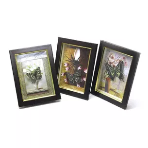 Butterfly in a frame (19.5x14.5x3 cm)