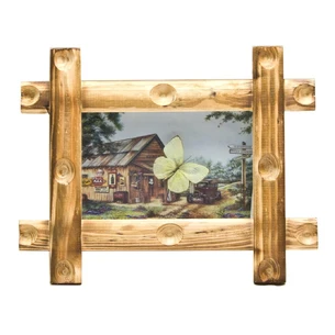 Butterfly in a frame on the background (19x24x3.5 cm)