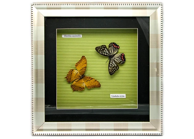 Фото 1 - Butterflies in a frame (30x30x3.5 cm)