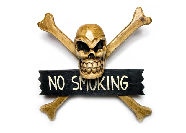 Фото 1 - Череп с костями No Smoking (30х9х30 см)