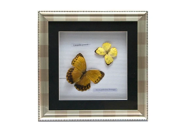 Фото 1 - Butterflies in a frame (30x30 cm) Double