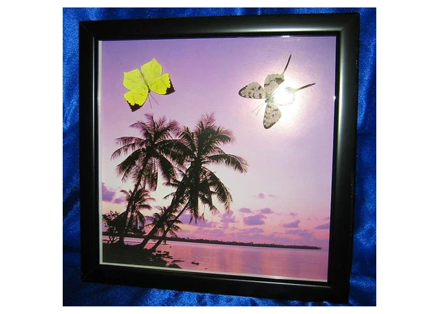 Фото 1 - Butterflies in a frame on the background (2 pcs.) (29*29)