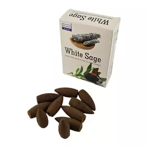 White Sage BackFlow Cones (Darshan) backflow cones