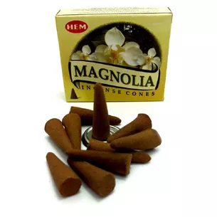 Magnolia (Magnolia)(Hem) cones