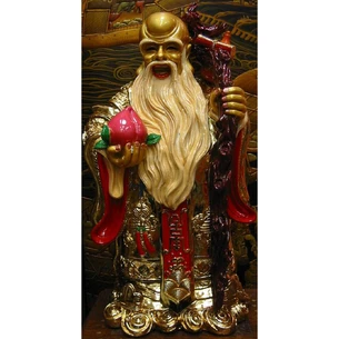 Shousin gold (60 cm)