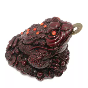 Жаба кам'яна крихта коричнева (13х12, 5х9, 5 см)