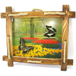 Бабочки в рамке на фоне (2шт.) (28х23 см) (10)
