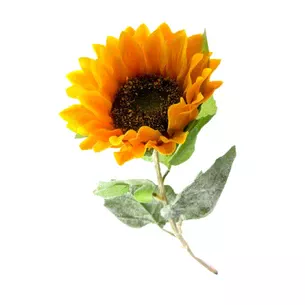 Sunflower (62 cm)