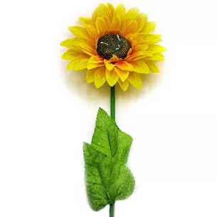 Sunflower (75 cm)