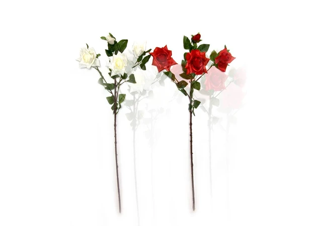 Фото 1 - Roses (83 cm)