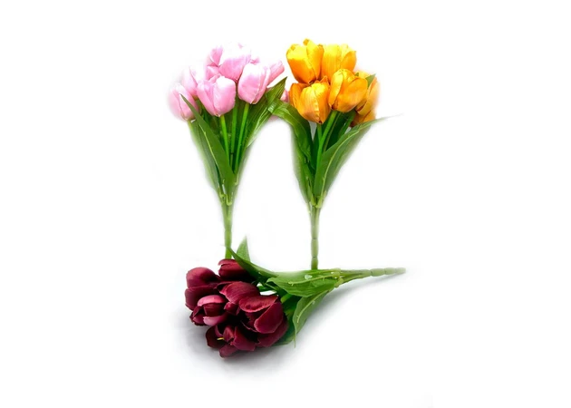 Фото 1 - Tulips (31 cm)