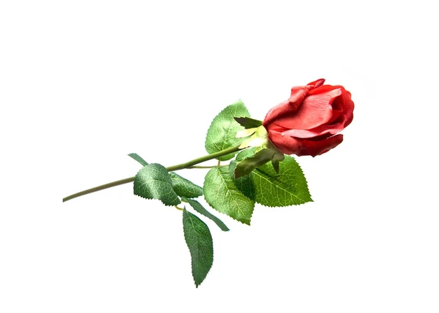 Фото 1 - Flower Rose (55 cm)