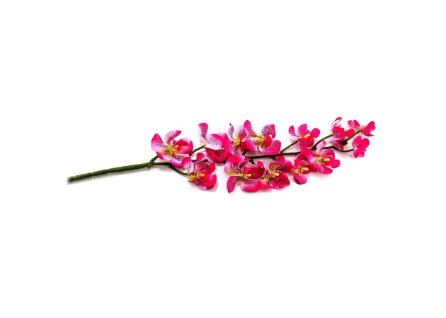 Фото 1 - Orchid flower red (90 cm)
