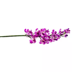 Orchid flower (90 cm)