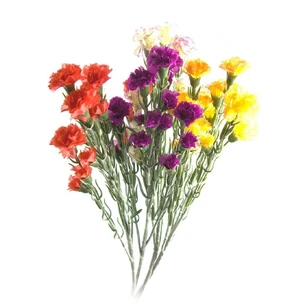 Carnation flowers (60 cm)