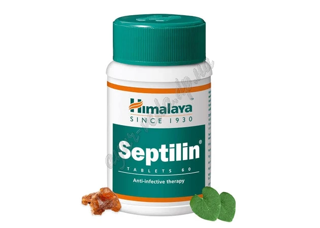 Фото 1 - !Септилин 60 таб Хималая, Septilin Himalaya, природный антибиотик широкого спектра действия, инфекции дыхательных путей, Аюрведа