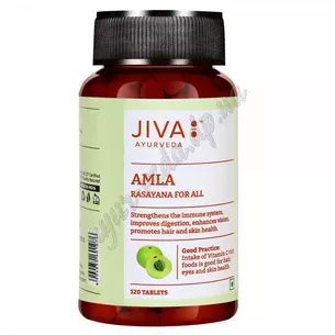 Амла Амлаки Джива Аюрведа, 120 таб., Amla Jiva Ayurveda, Амла Амалаки Джива, укрепление организма, Аюрведа