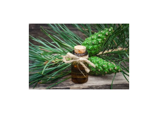 Фото 1 - Ароматична олія Сосна 3мл Ом Експо, Pine Perfume Oil Om Expo, Ароматическое масло Сосна, Армамасло, Аюрведа Здесь