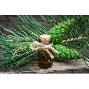 Ароматична олія Сосна 3мл Ом Експо, Pine Perfume Oil Om Expo, Ароматическое масло Сосна, Армамасло, Аюрведа Здесь