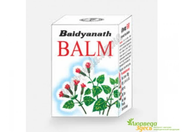 Фото 1 - Бальзам Байдьянатх сила природы, Baidyanath Balm Nature Power, один бальзам - тройное действие!, Аюрведа