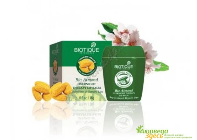 Фото 1 - Бальзам для губ Био Миндаль, Bio Almond Overnight Therapy Lip Balm Replenishes & Repairs Lips, Аюрведа Здесь