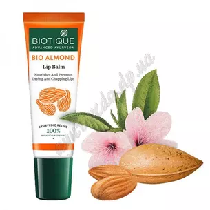 Almond lip balm 10g. tube, Biotique Bio Almond Lip Balm, Ayurveda