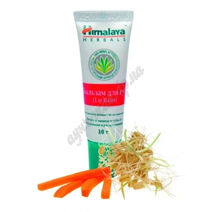 Бальзам для губ Хималая 10 г., Lip Balm Himalaya herbals, Аюрведа