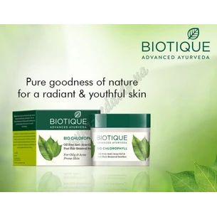 Біо Хлорофіл протизапальний гель, Bio Chlorophyll Gel, Oil Free AntiAcne Gel & Post Hair Removal Soother, Аюрведа Здесь