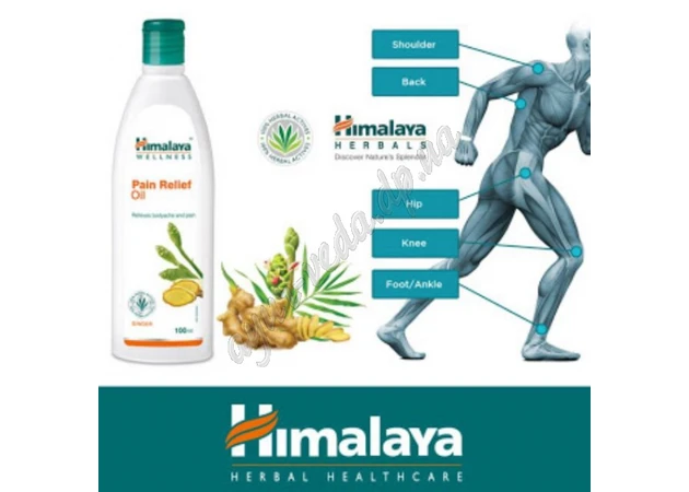 Фото 1 - Болезаспокійлива масажна олія 100мл Хималая, Himalaya Pain Relief Oil, Болеутоляющее массажное масло Хималая, Аюрведа Здесь