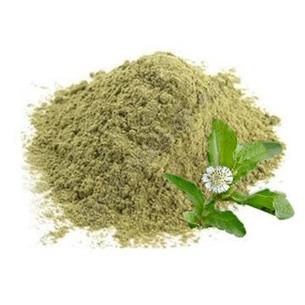 Bhringraj powder 50g Himalayan International, Bhringraj Churna, Bhringraj, Himalayan International Bhringraj powder, Eclipta alba, Ayurved