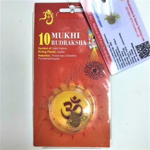 Бусин Рудракши 10 лик сертифицирован около 10-15мм в металл.обработке, rudraksha 10 mukhi, Бусин Рудракши 10 лик сертифицирован,