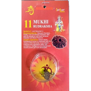 Rudraksha bead 11 faces certified about 10-15mm in metal.processed, rudraksha 11 mukhi, Rudraksha bead 11 faces certified
