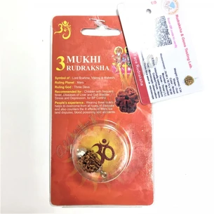 Бусина Рудракши 3 лик сертифицирована около 10-15 мм в металл.обработке, rudraksha 3 mukhi, Бусина Рудракши 3 лик сертифицированная, А