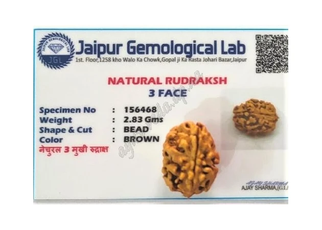 Фото 1 - Rudraksha bead 3 face certified about 10-15 mm Nepal, rudraksha 3 mukhi, Rudraksha bead 3 face certified, Ayurveda