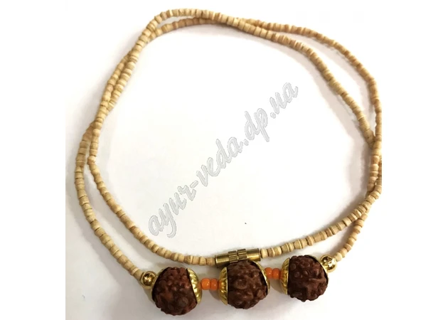 Фото 1 - Kanthimala p rudrakshi beads, 1 row, kanthimala rudrakshi, Ayurveda
